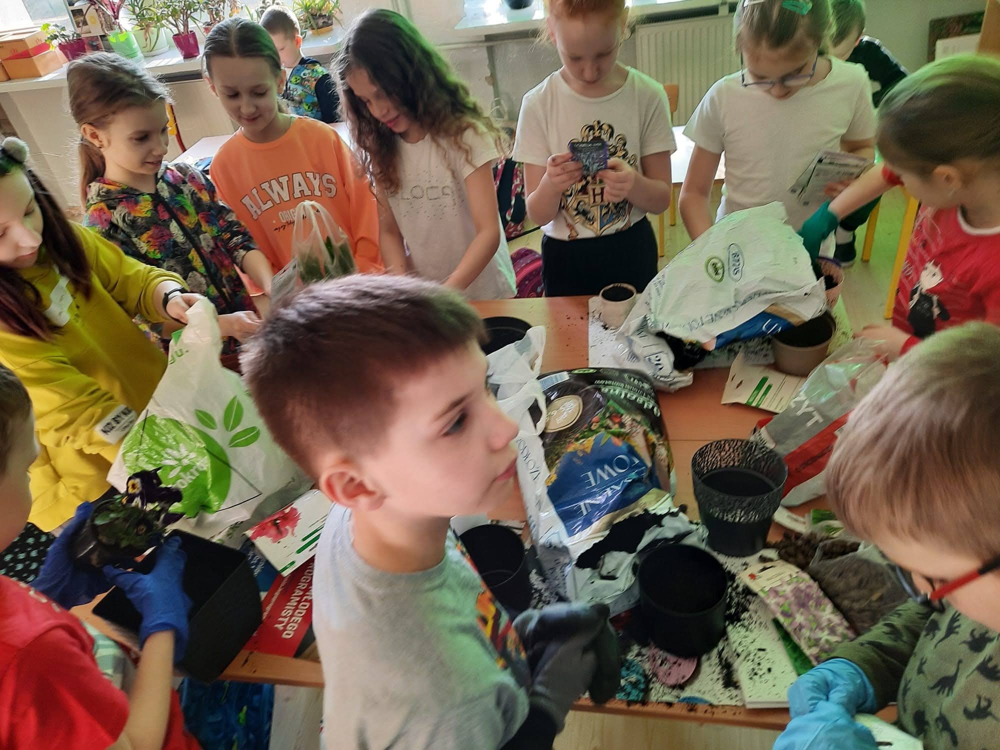 Zielony parapet w 2a