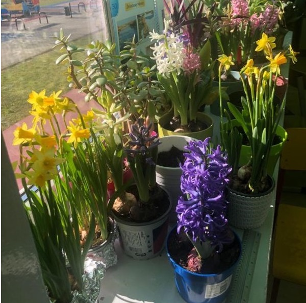 Działania przyrodniczo-ekologiczne uczniów z klasy 2a i 2b