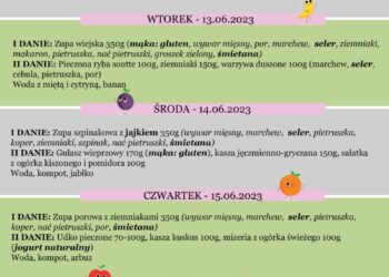 Jadłospis 12-161 czerwca