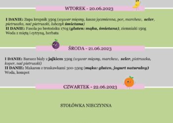Jadłospis 19-23 czerwca