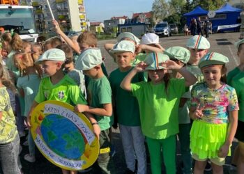 Klasa 1 b - czyste zielone miasta