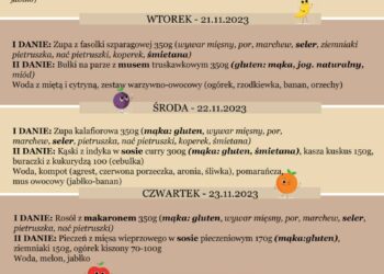 Jadłospis 20-24 listopada
