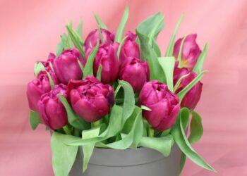 Międzynarodowy Dzień Kobiet