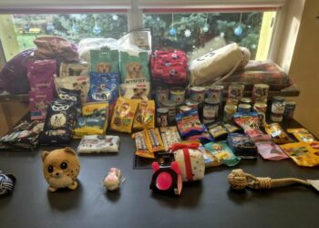 Zadanie 1 - rozwiazanie