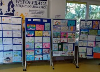 Mój wymarzony zawód