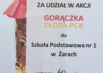 Dyplom dla Szkoły