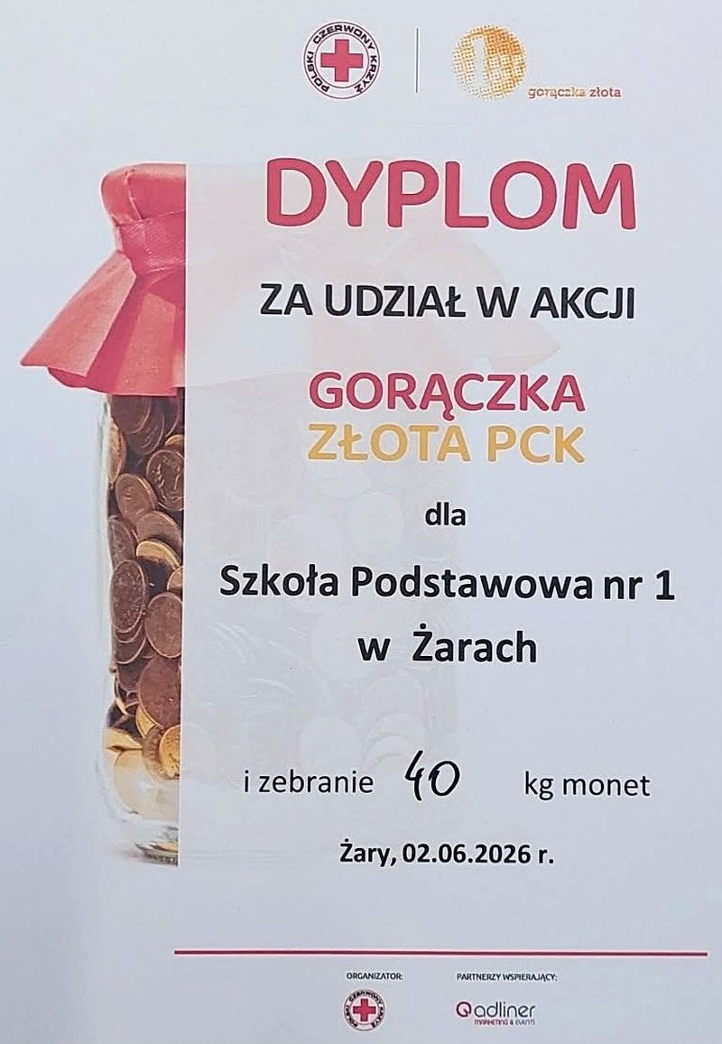 Dyplom dla Szkoły